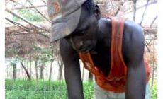Mozambique-EU forest carbon deal is fraught with problems, new report reveals