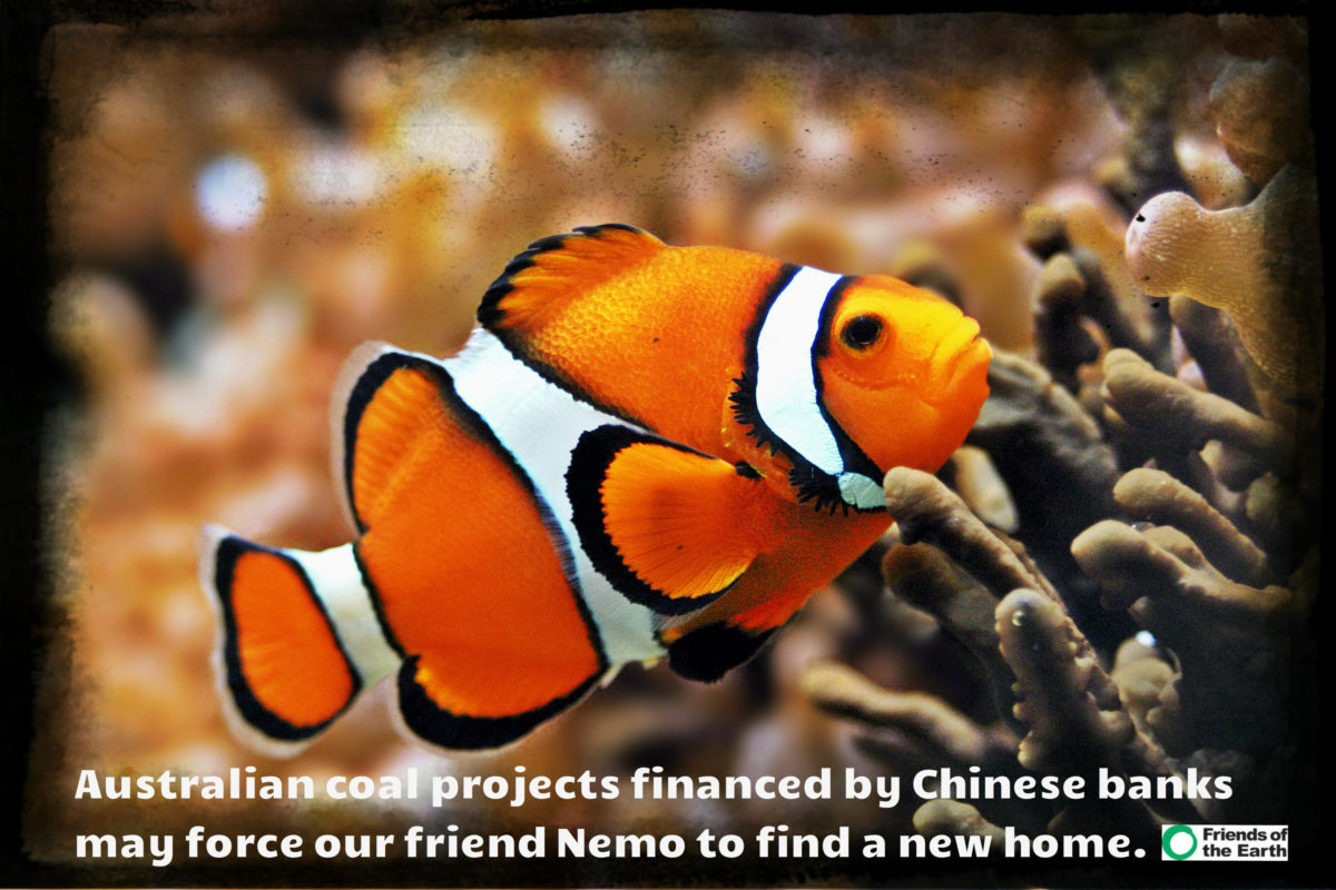 Graphic against Australian coal mining backed by Chinese banks with a picture of a clown fish