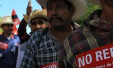 Nine reasons why REDD is a false folution: New Report from Friends of the Earth International