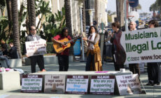 Protect forests and the future of musical instruments