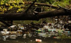 Court finds that Maryland failed to protect rivers from pollution