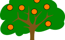 Changing the climate at the COP