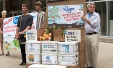 America’s Largest Traditional Supermarket Chain Is Fine With Killing Bees