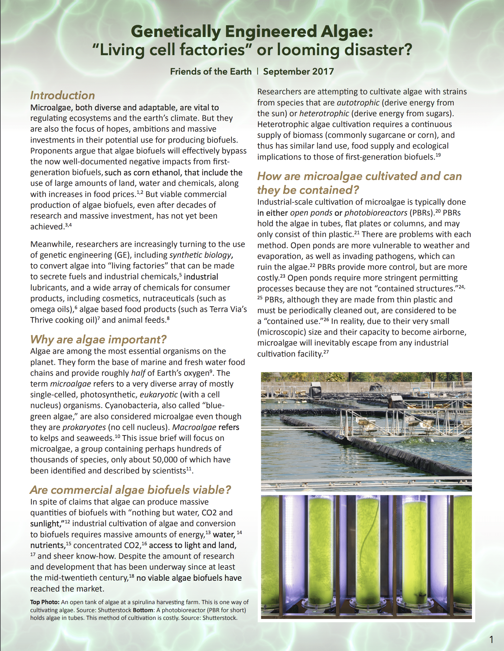 Synbio Algae Issue Brief
