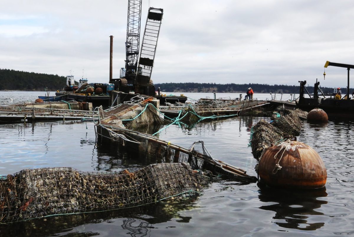 Multiple fishing nets in the water surrounding fishing boats
