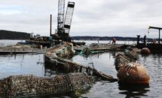 Industrial Ocean Fish Farming — Bad for the Ocean, Fish, and People