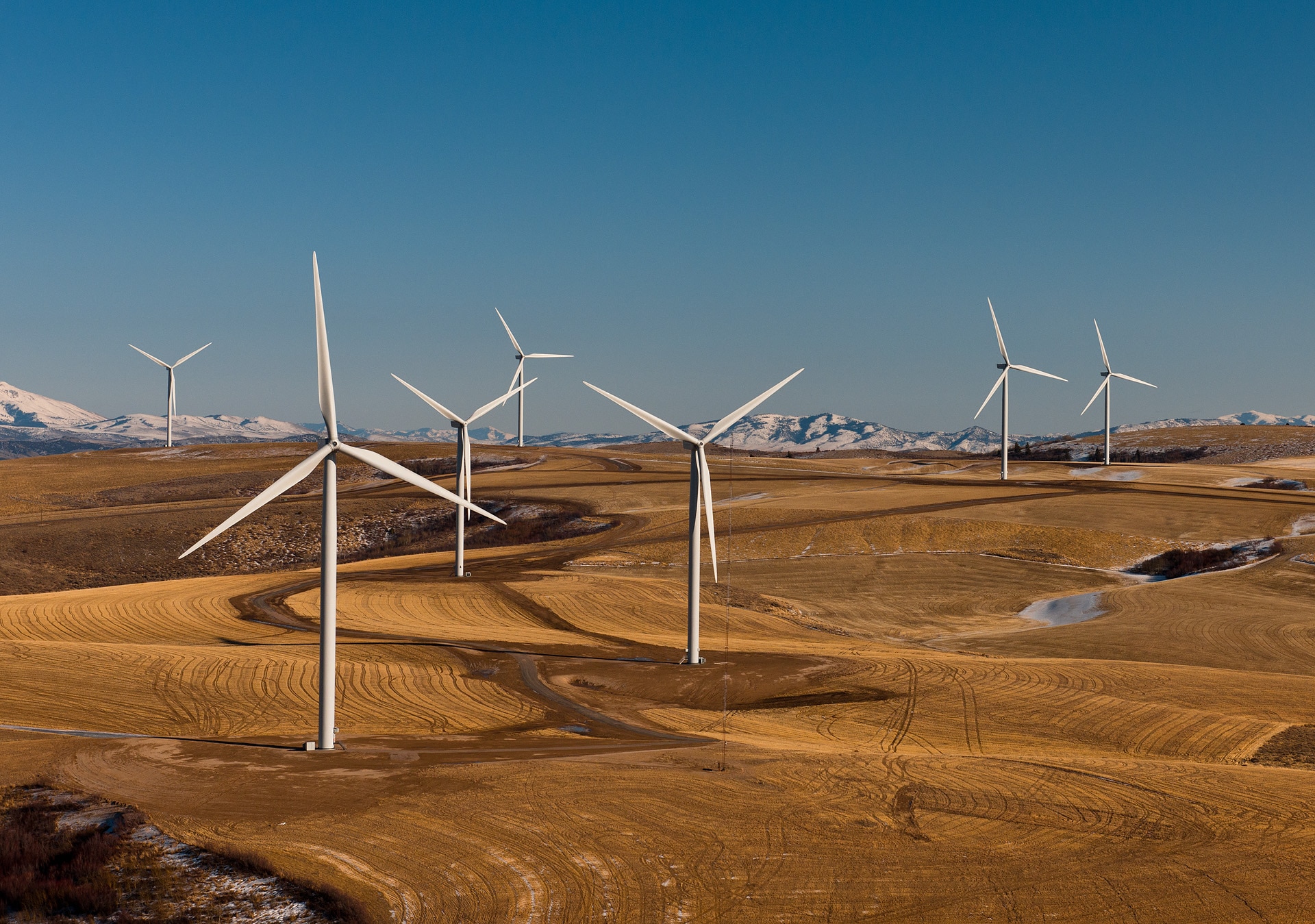 Wind turbines in a vast field with snow covered mountains in the background