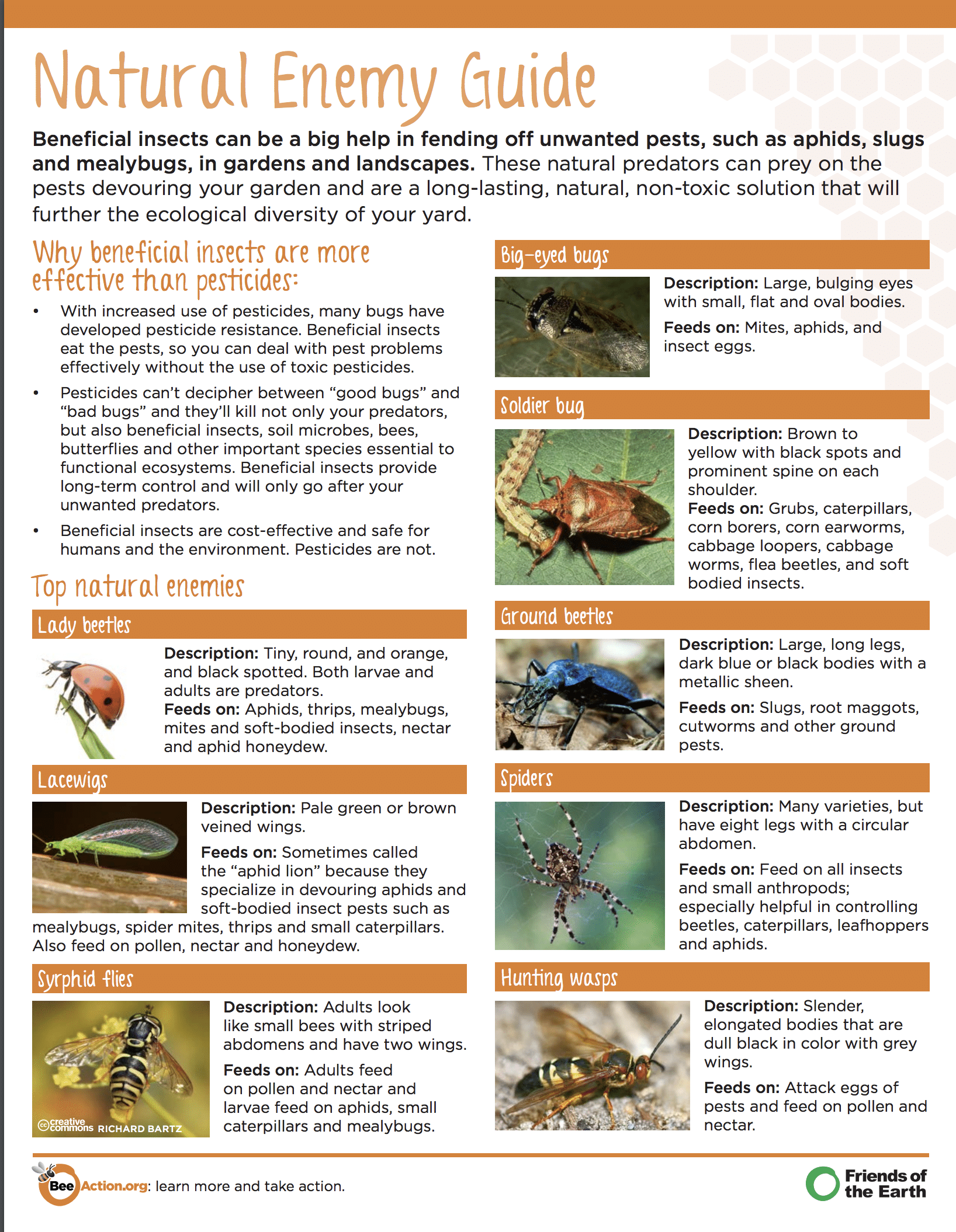 Beneficial Insects Guide