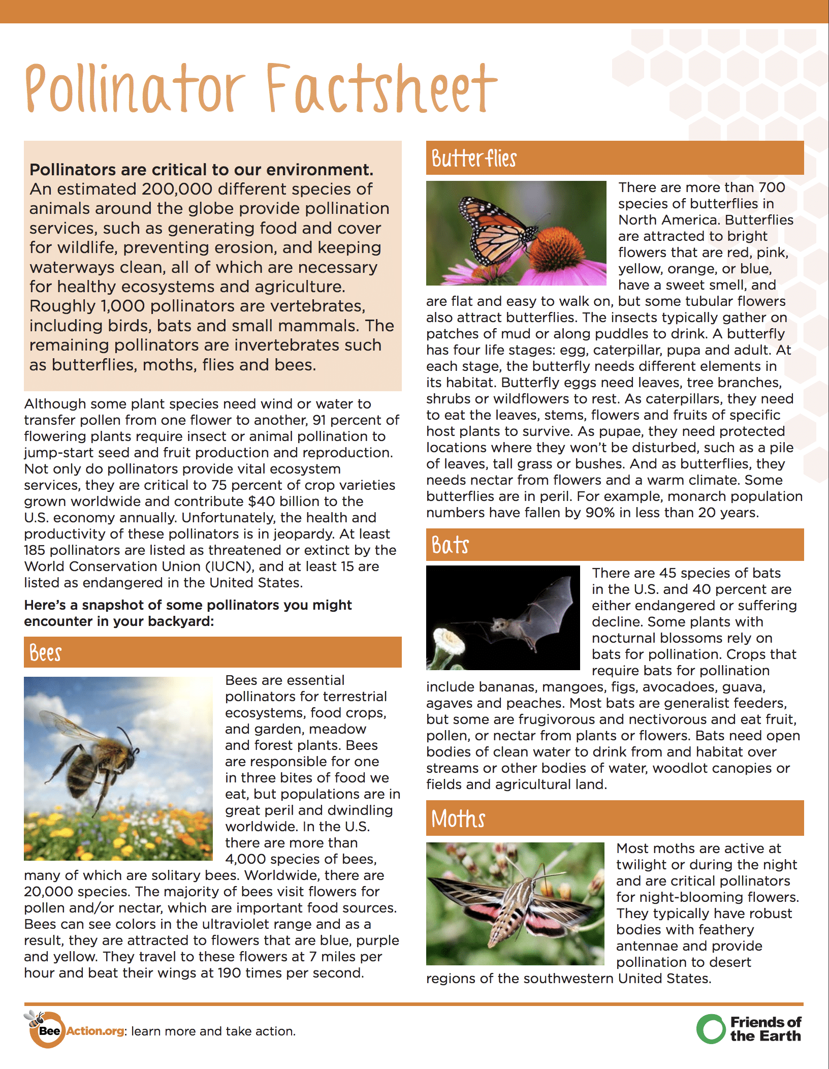 Pollinator Factsheet