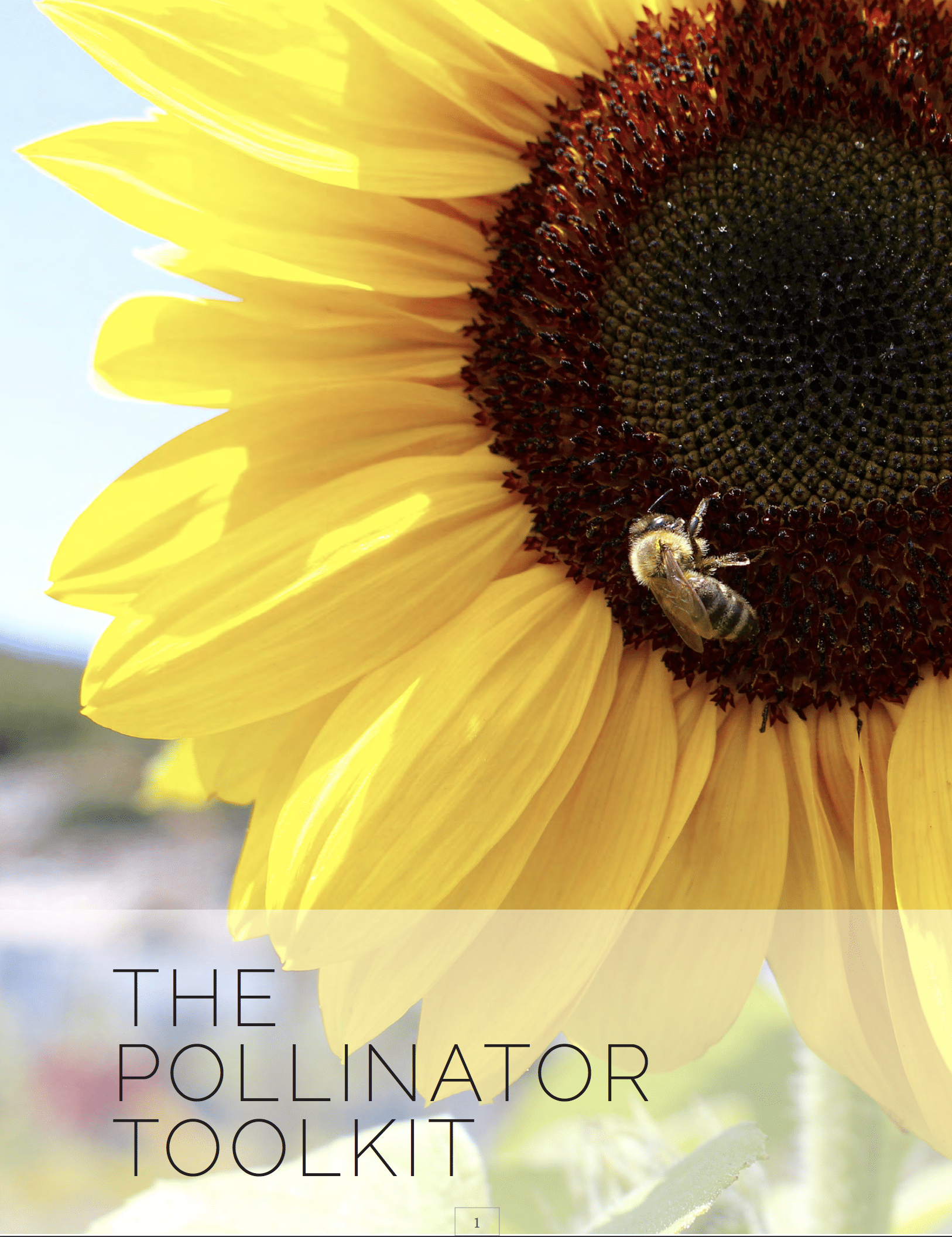 The Pollinator Toolkit