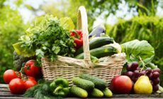 The Assault on Organics: Ignoring science to make the case for chemical farming