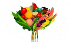The Future of Food: The Next Generation of GMOs