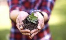 Dirt, Democracy and Organic Farming: A recipe for feeding the world