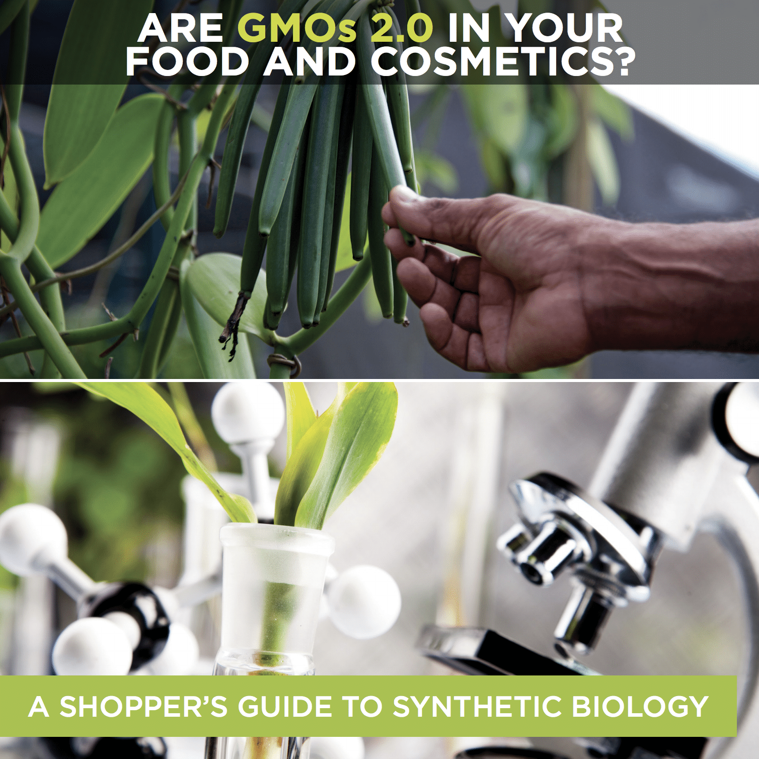 A Shopper’s Guide to Synthetic Biology