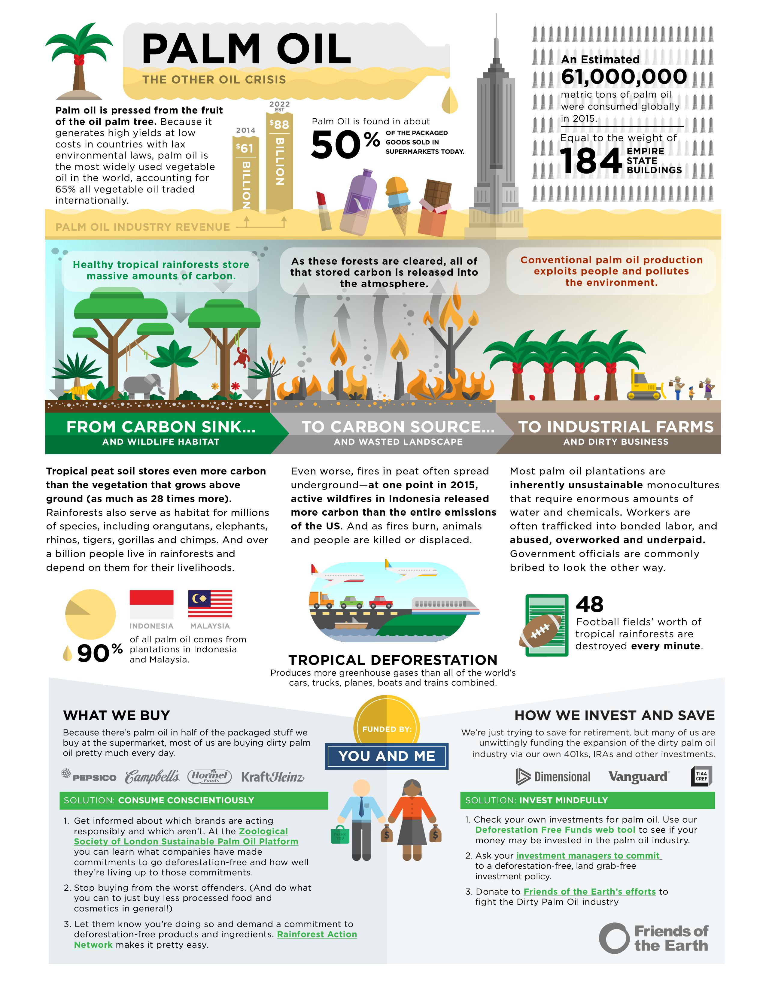 Dirty palm oil infographic