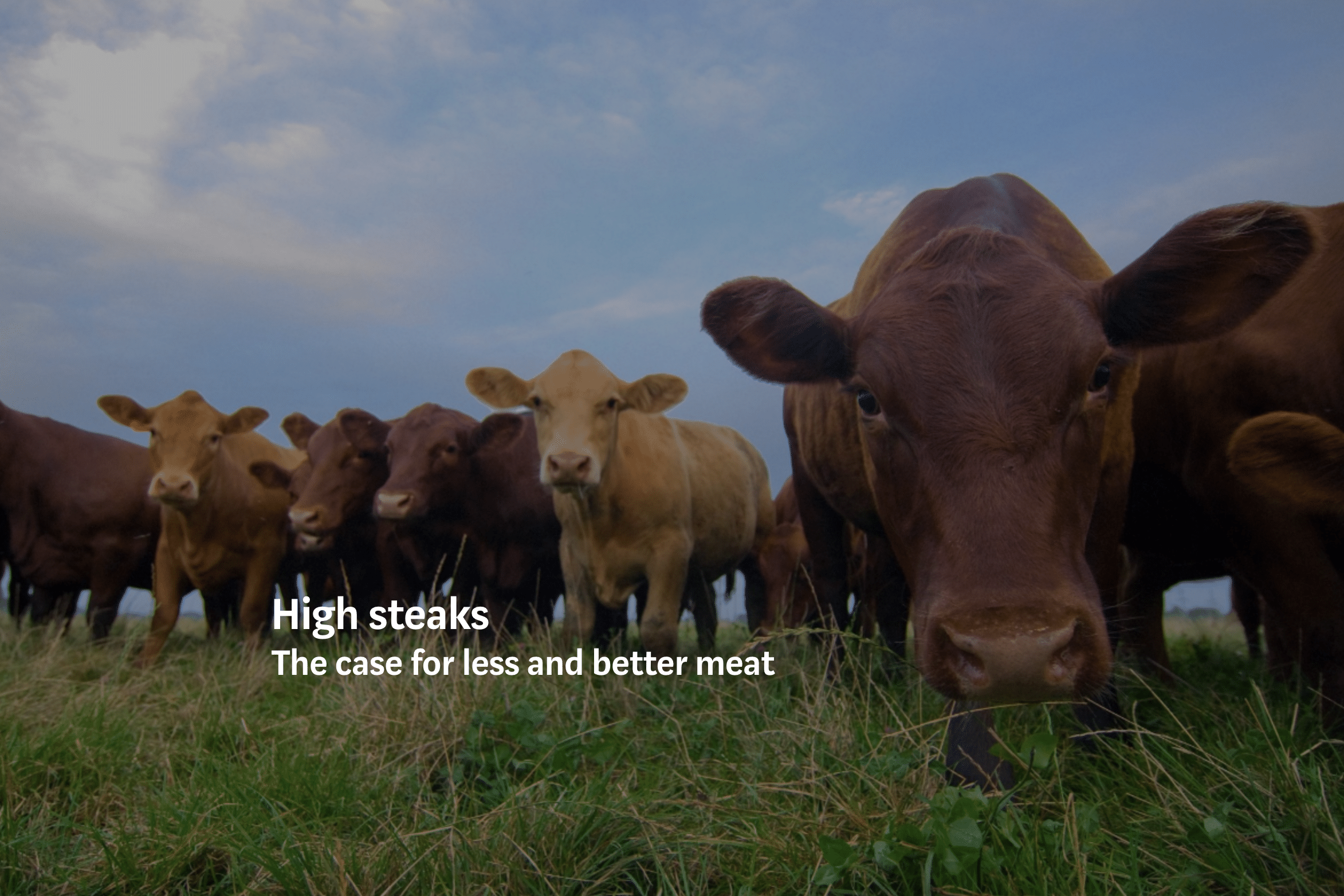 High steaks: The case for less and better meat