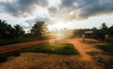 Certified weaknesses: The RSPO’s Liberian fiasco