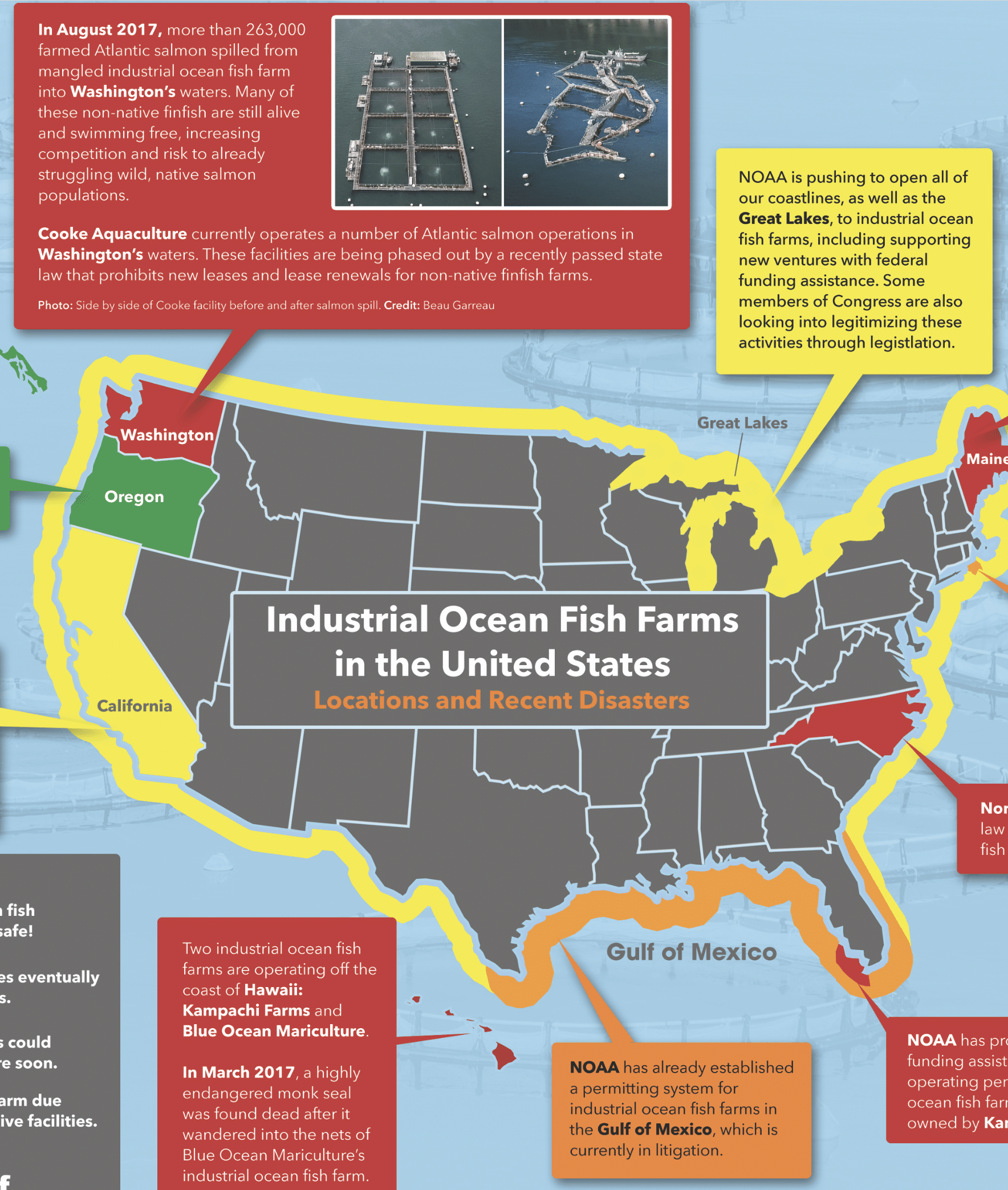 Industrial Ocean Fish Farms Infographic