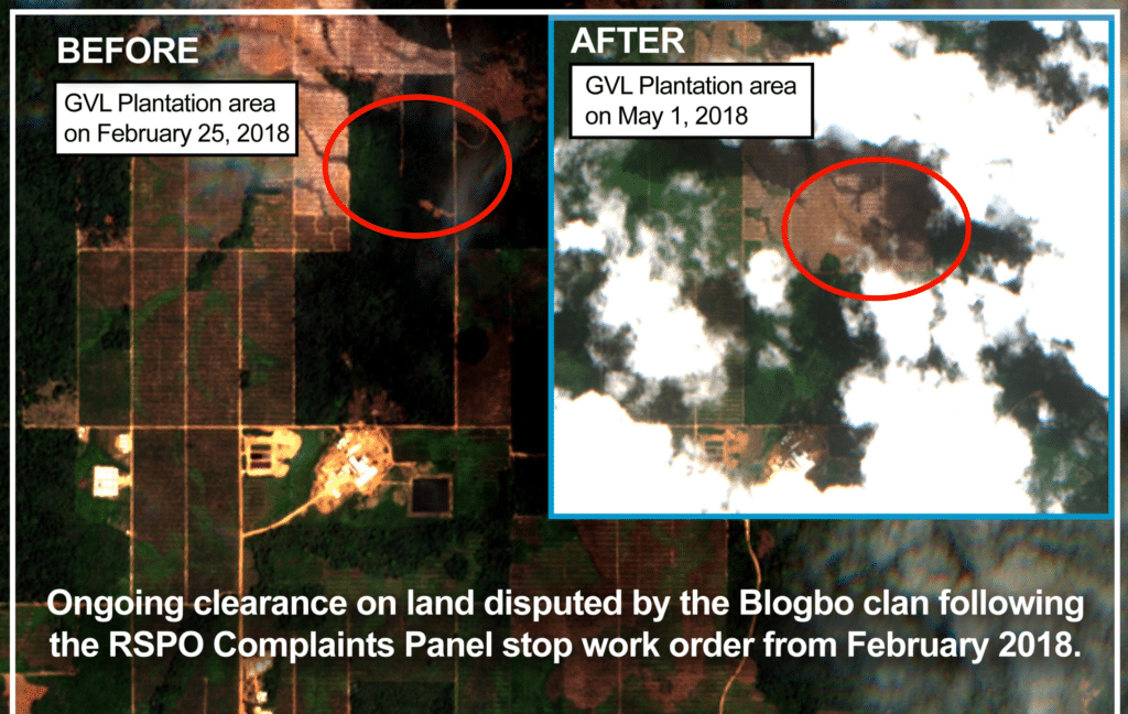 Before and After GVL Plantation
