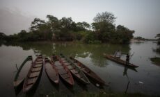 Three Years Since the Ecocide in the Río Pasión, Guatemala, Communities Still Struggle for Justice