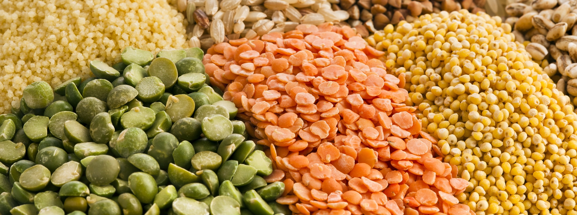 Health Food Options for School Lunch