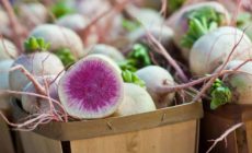 The Climate Change Mitigation Potential of Organic Agriculture