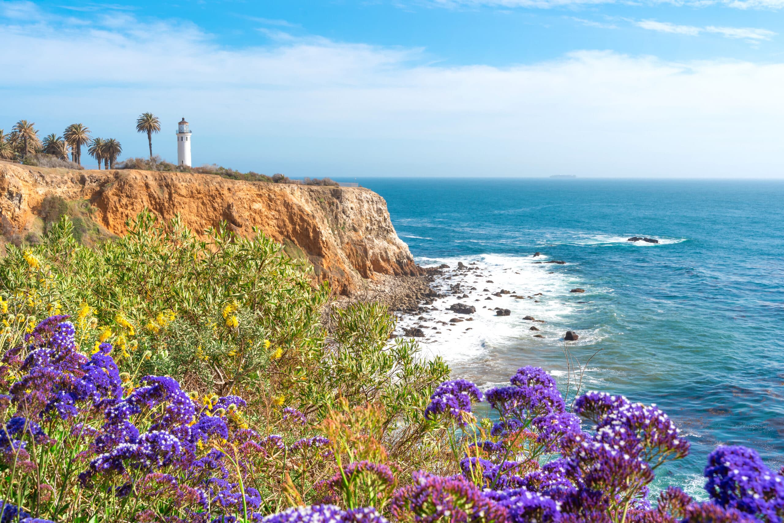 May contain a lighthouse on a cliff overlooking the ocean with purple flowers.