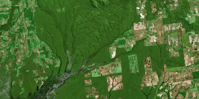 A glimpse at Brazil reveals the big REDD problems that California’s Tropical Forest Standard fails to address