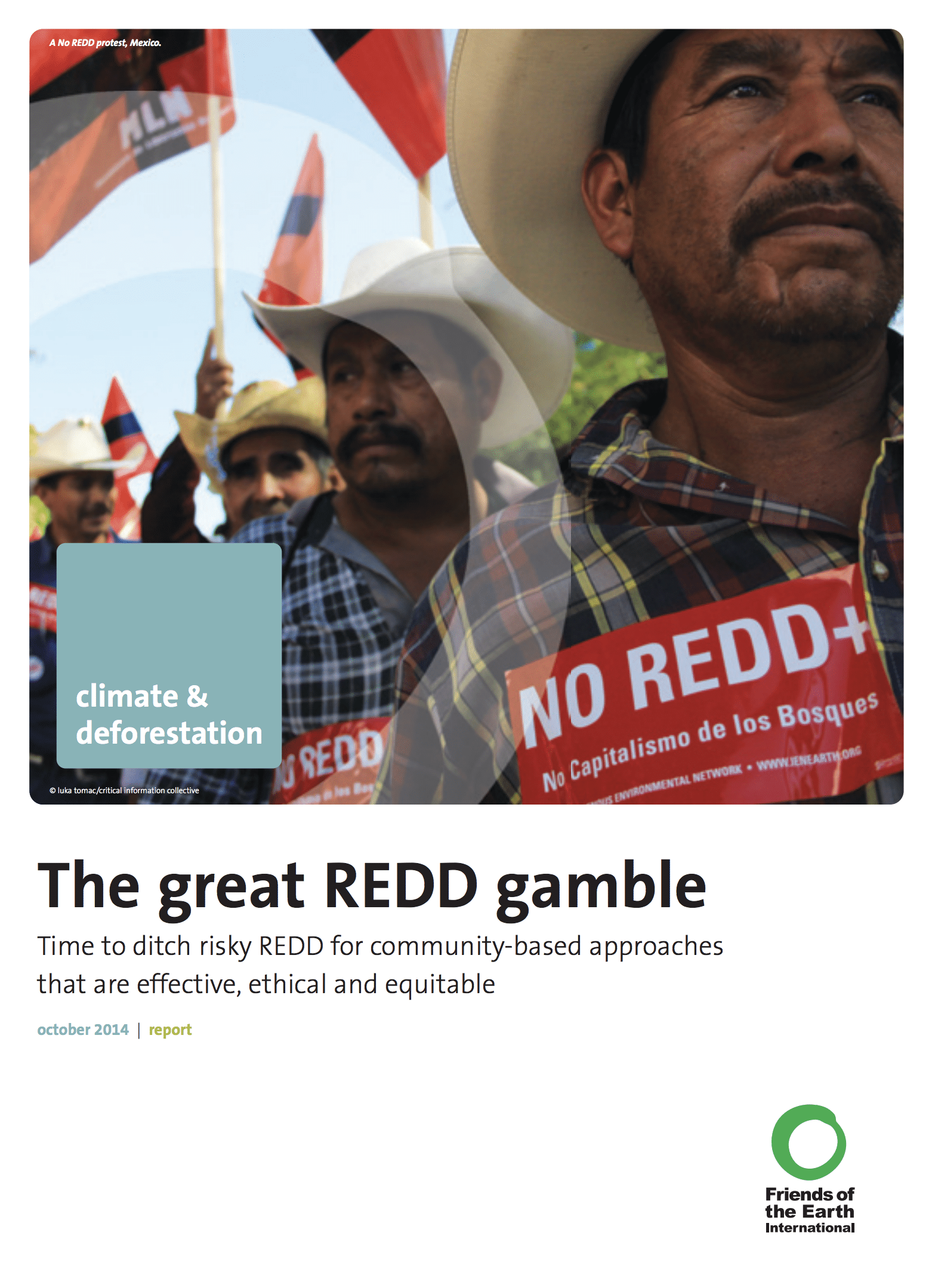 The Great REDD Gamble