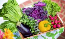 It’s Time to Stop Paying for Pesticides With Our Health: Organic for All Must Become the Norm