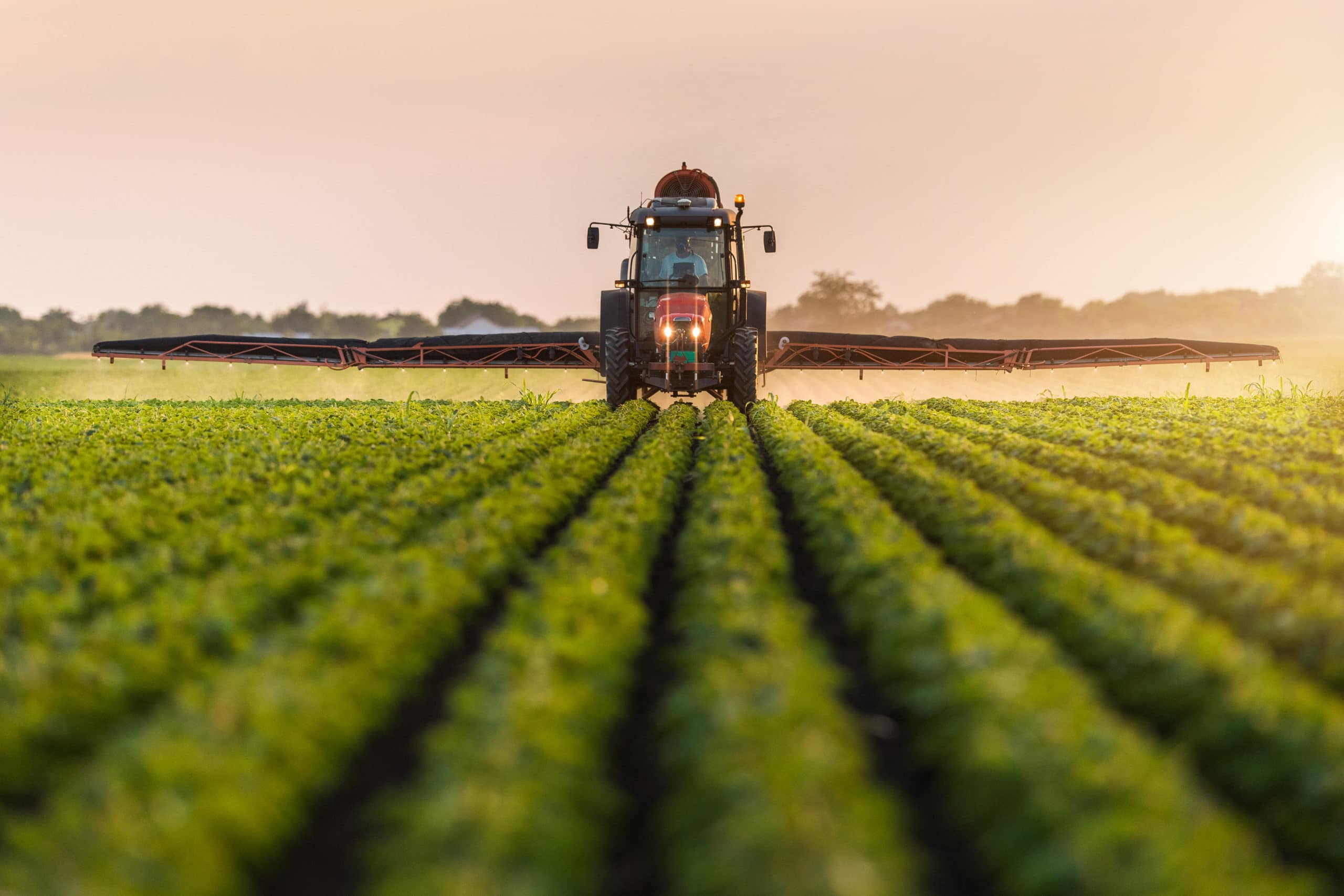 Farmer Spraying Pesticides with Tractor