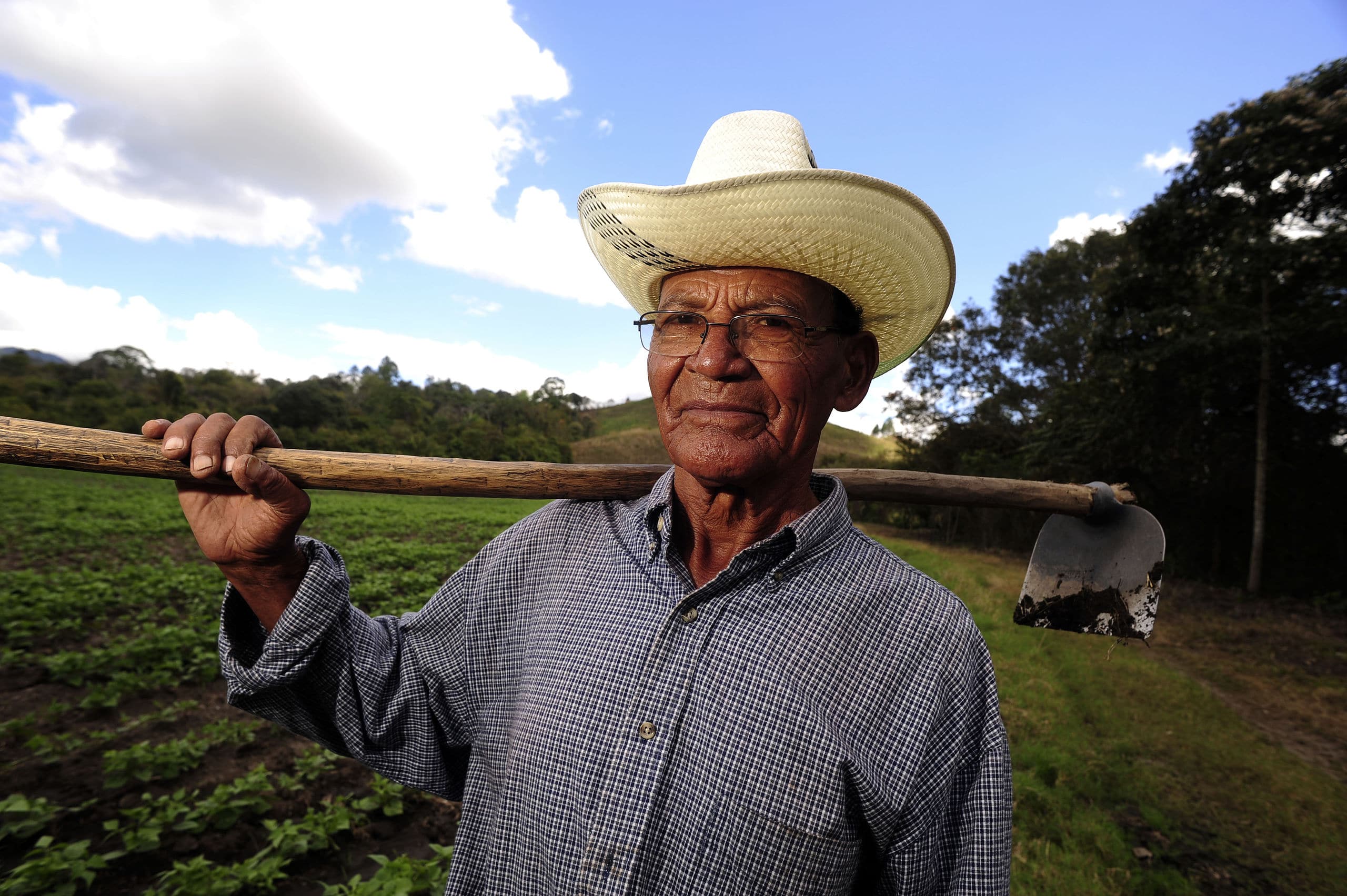 Farmworkers fearing toxic pesticide exposure fight for organic agriculture