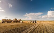 A Pledge to Uphold the Human Right to Food on World Food Day 2025 