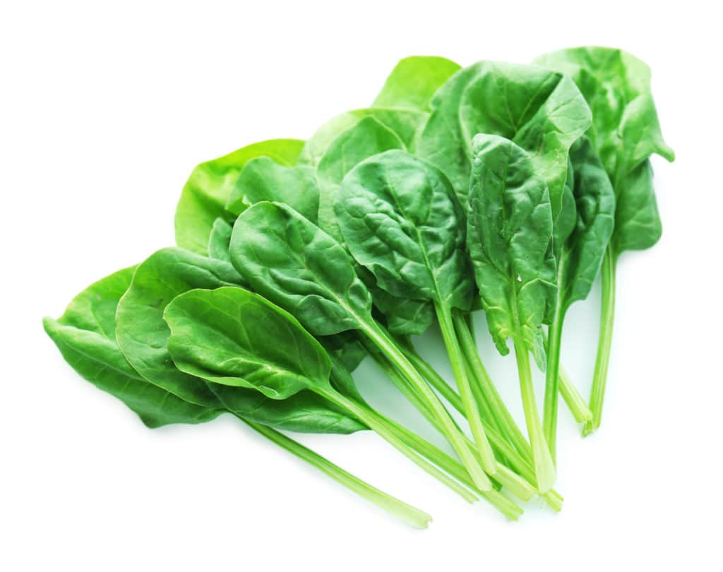 Spinach leaves on white