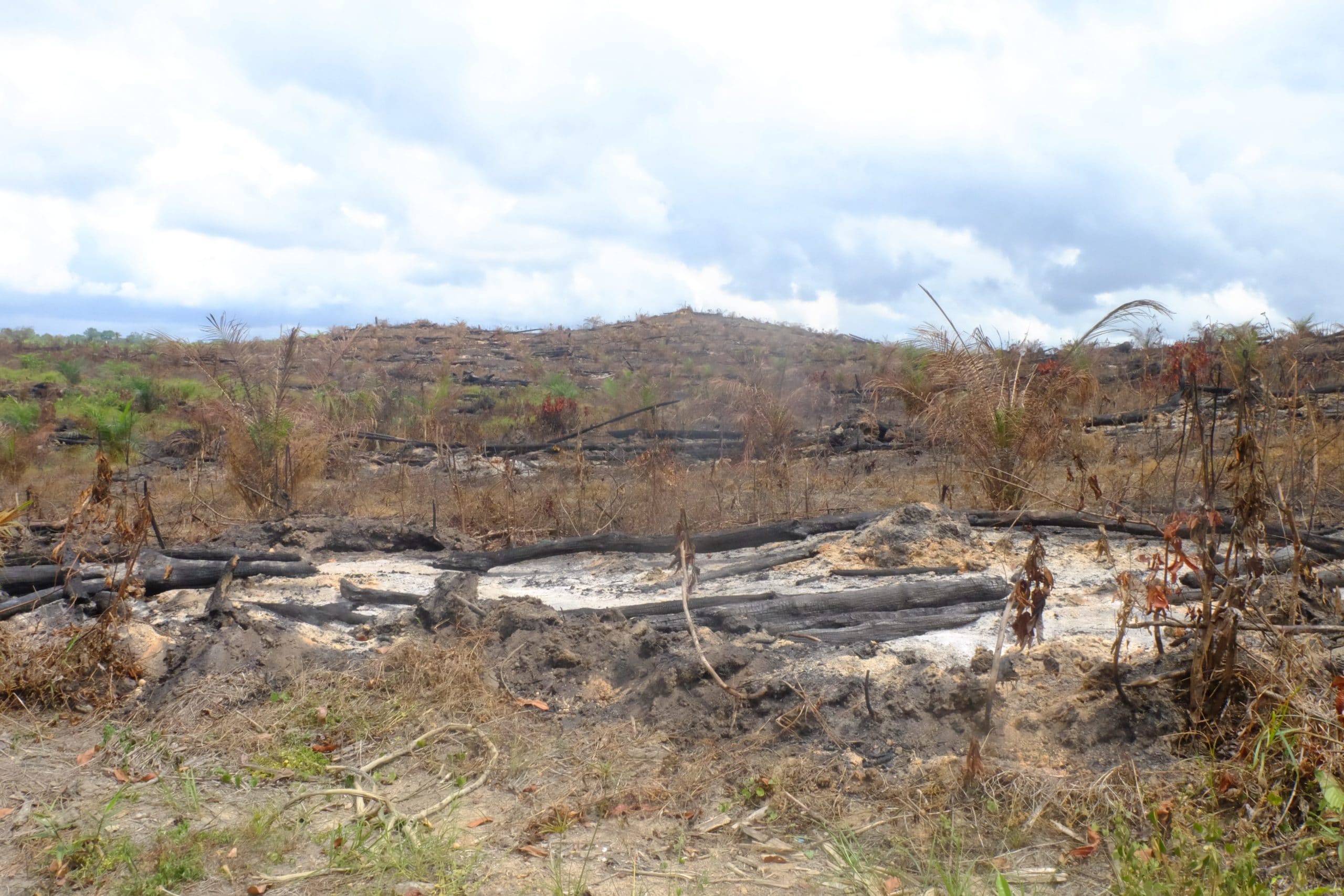 Liberian Deforested, Desolate Land