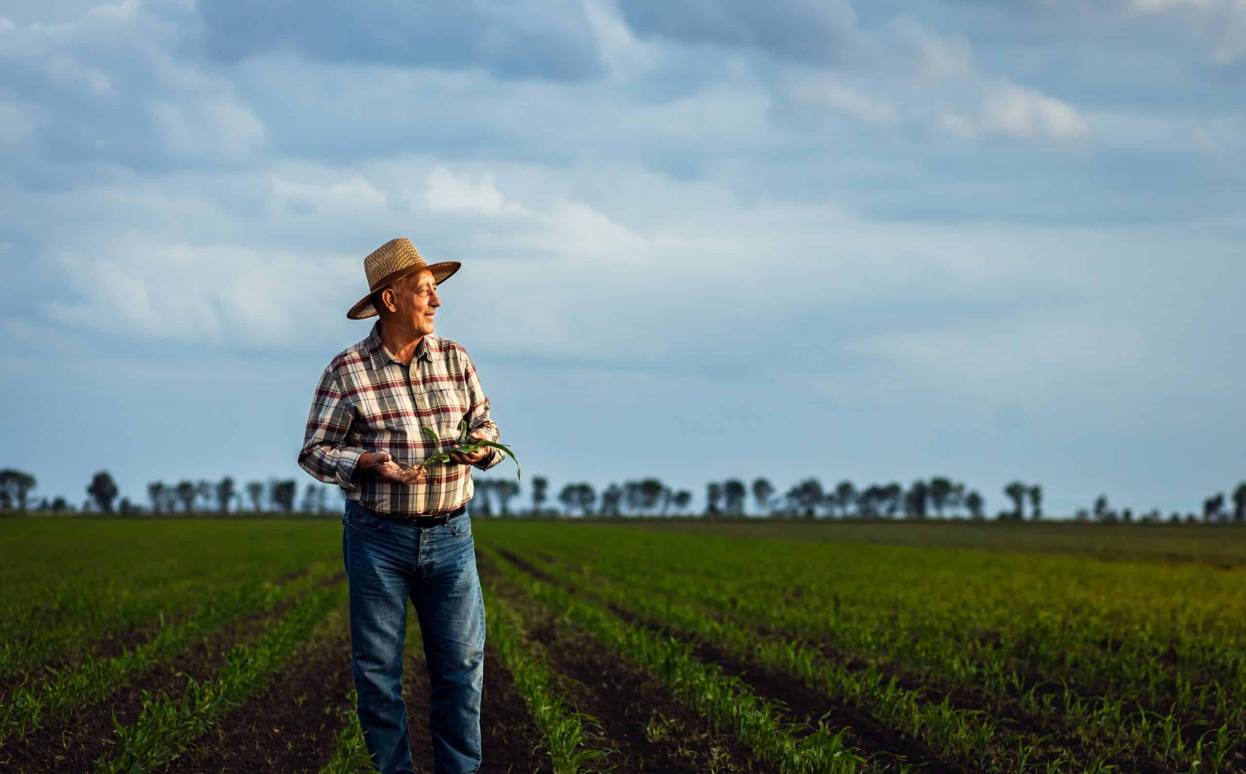 May contain a person in a straw hat and plaid shirt holding a plant.