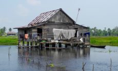 In the Peatlands of South Sumatra: A Tale of Two Villages