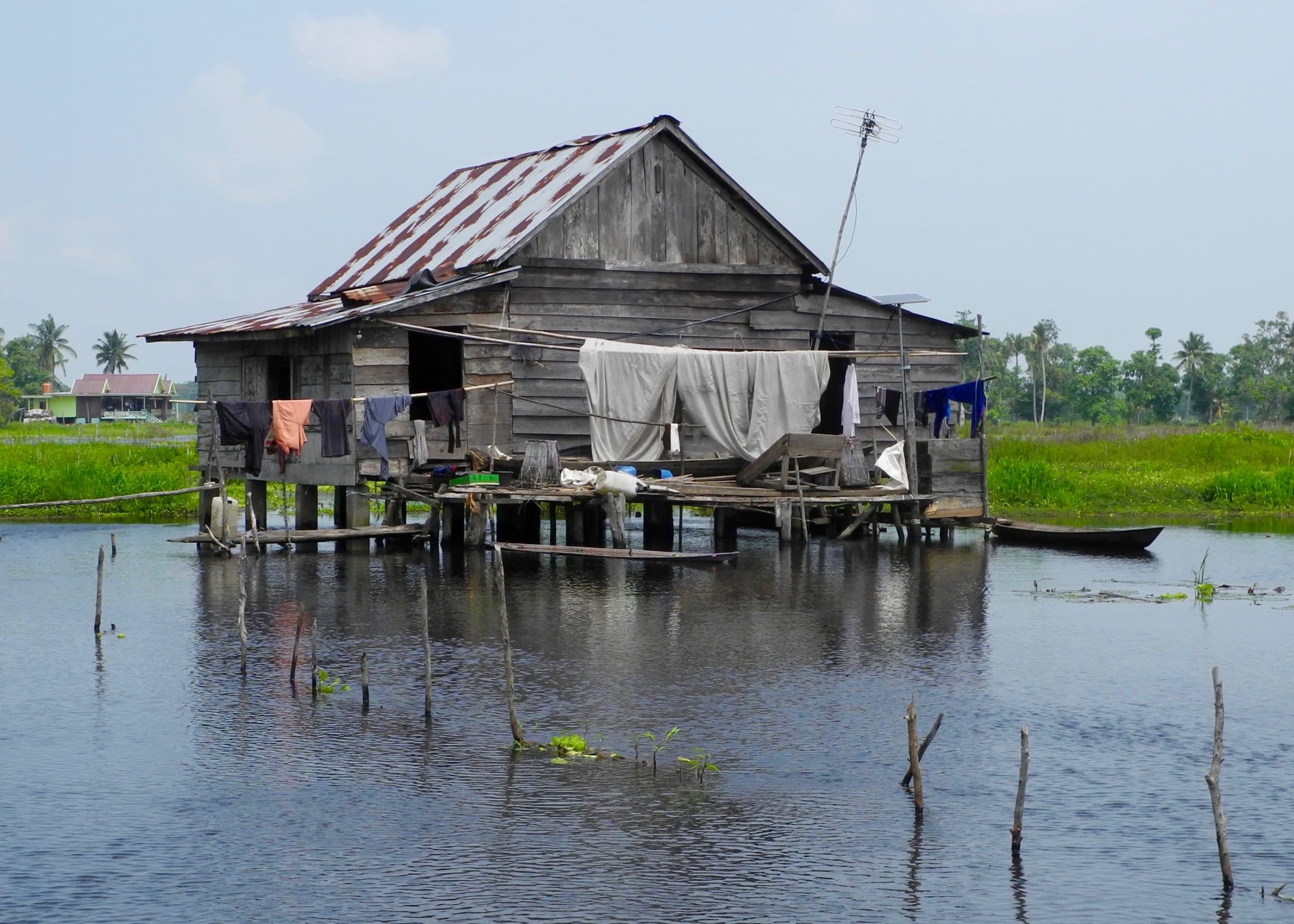 In the Peatlands of South Sumatra: A Tale of Two Villages