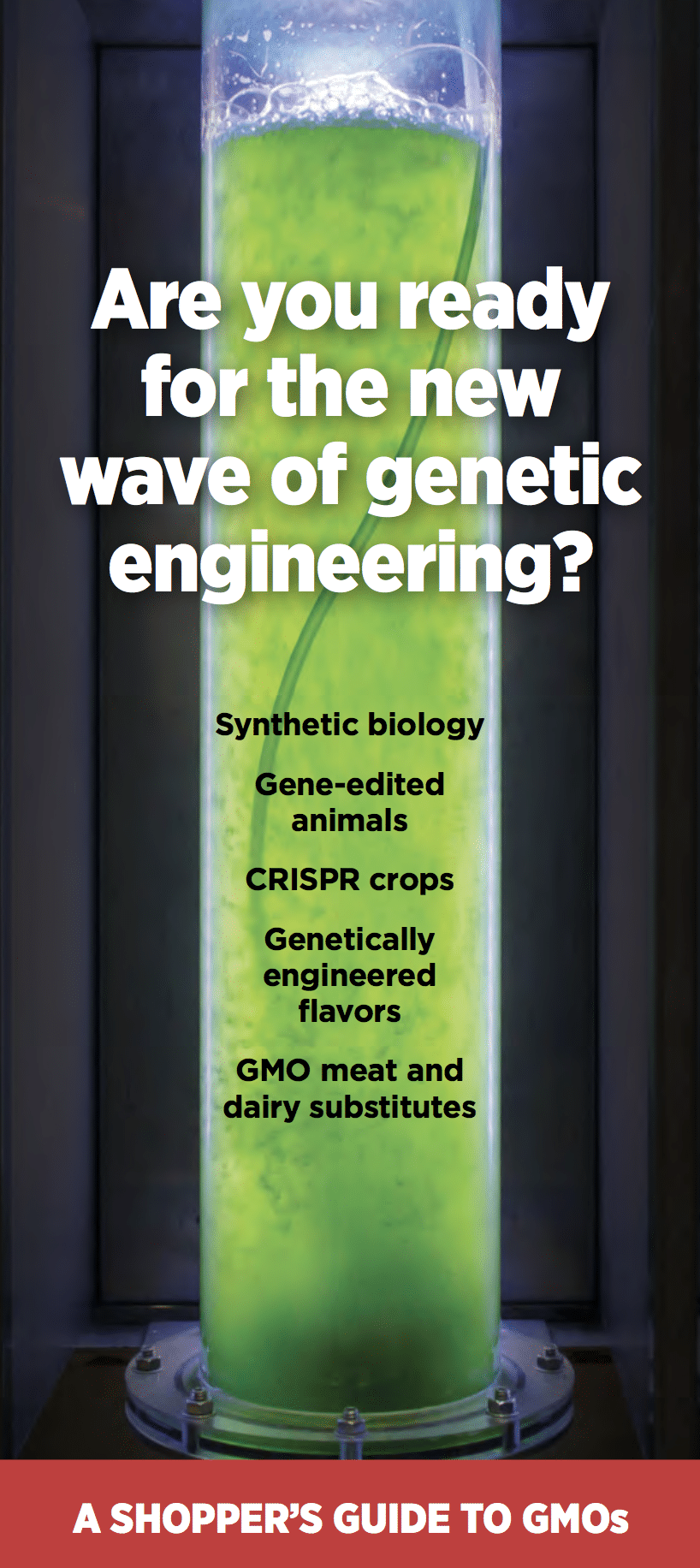 Shopper’s Guide to GMOs: Are You Ready For The New Wave of Genetic Engineering?