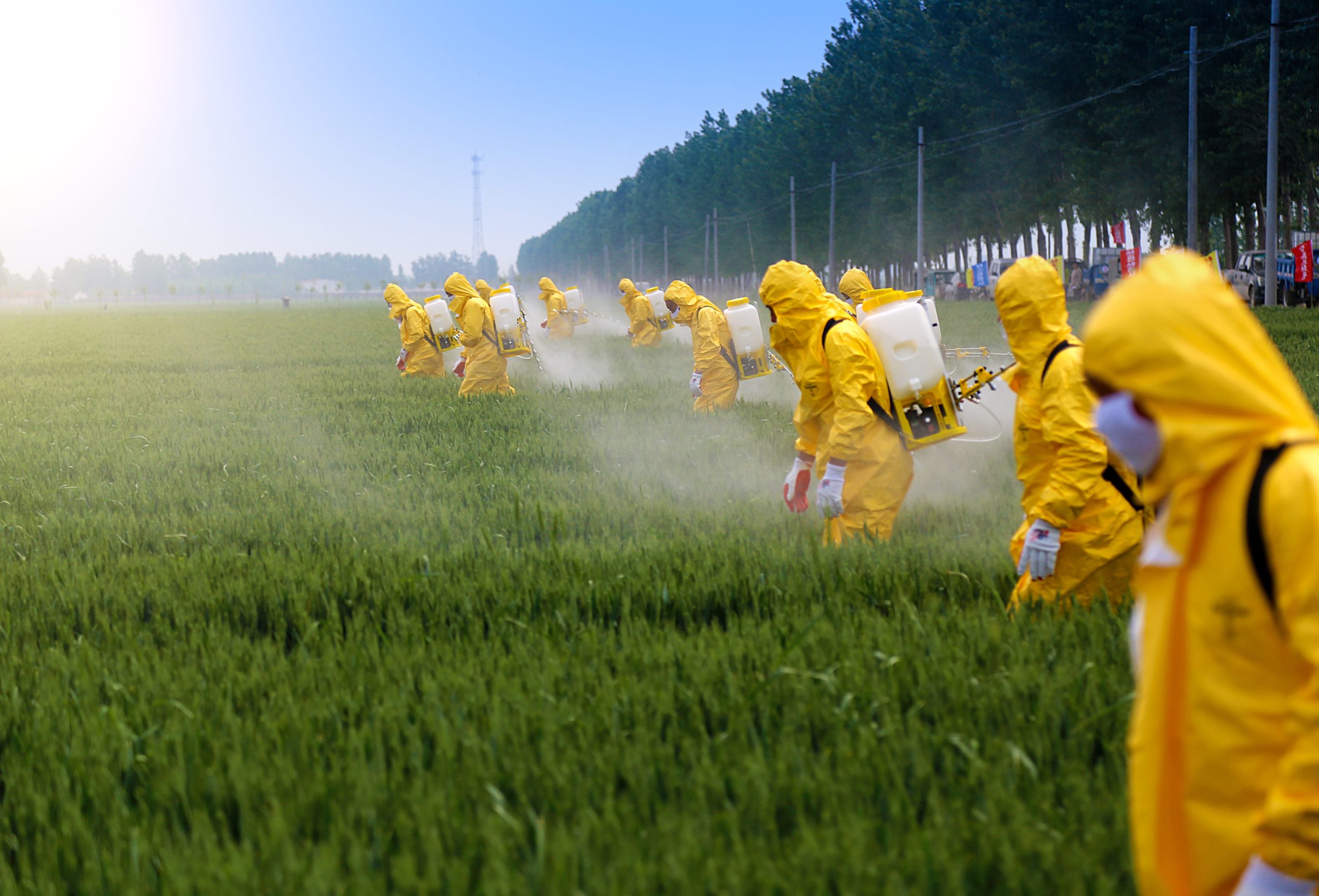Workers Spraying Pesticides on Crops