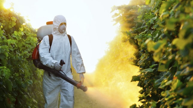 Worker Spraying Pesticides on Crops