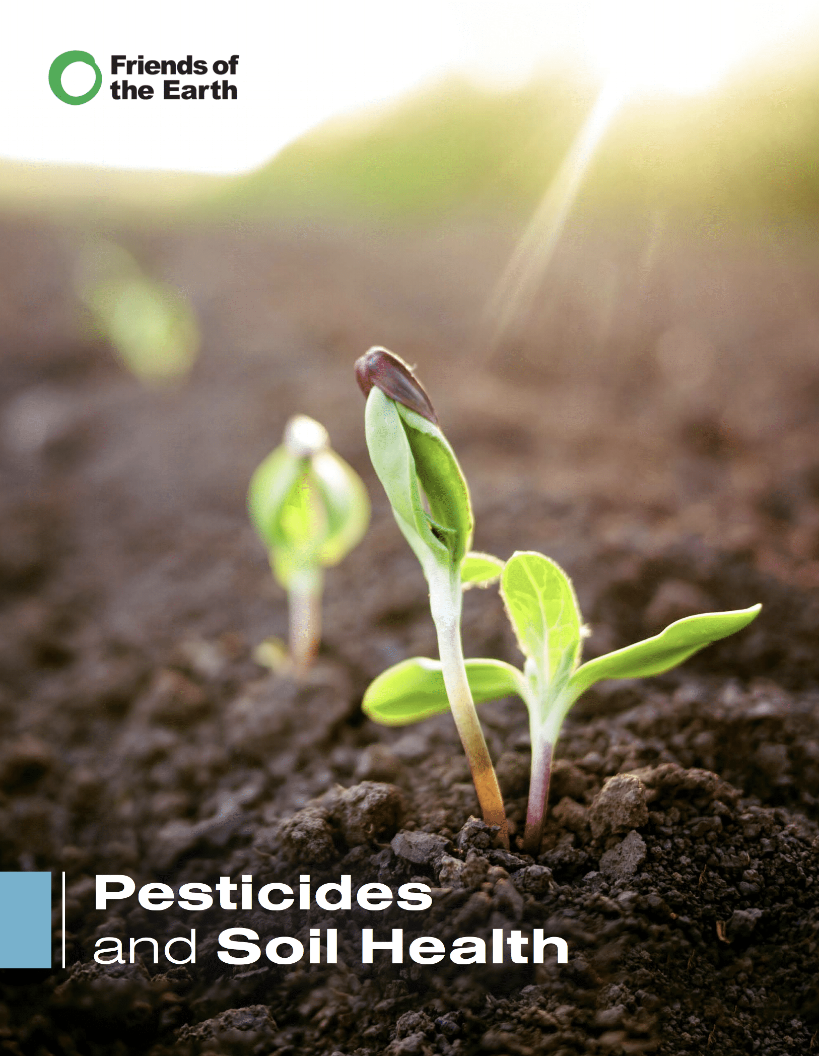 Pesticides and Soil Health