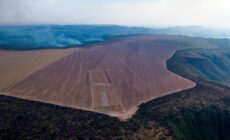 Harvard and TIAA’s farmland grab in Brazil goes up in smoke