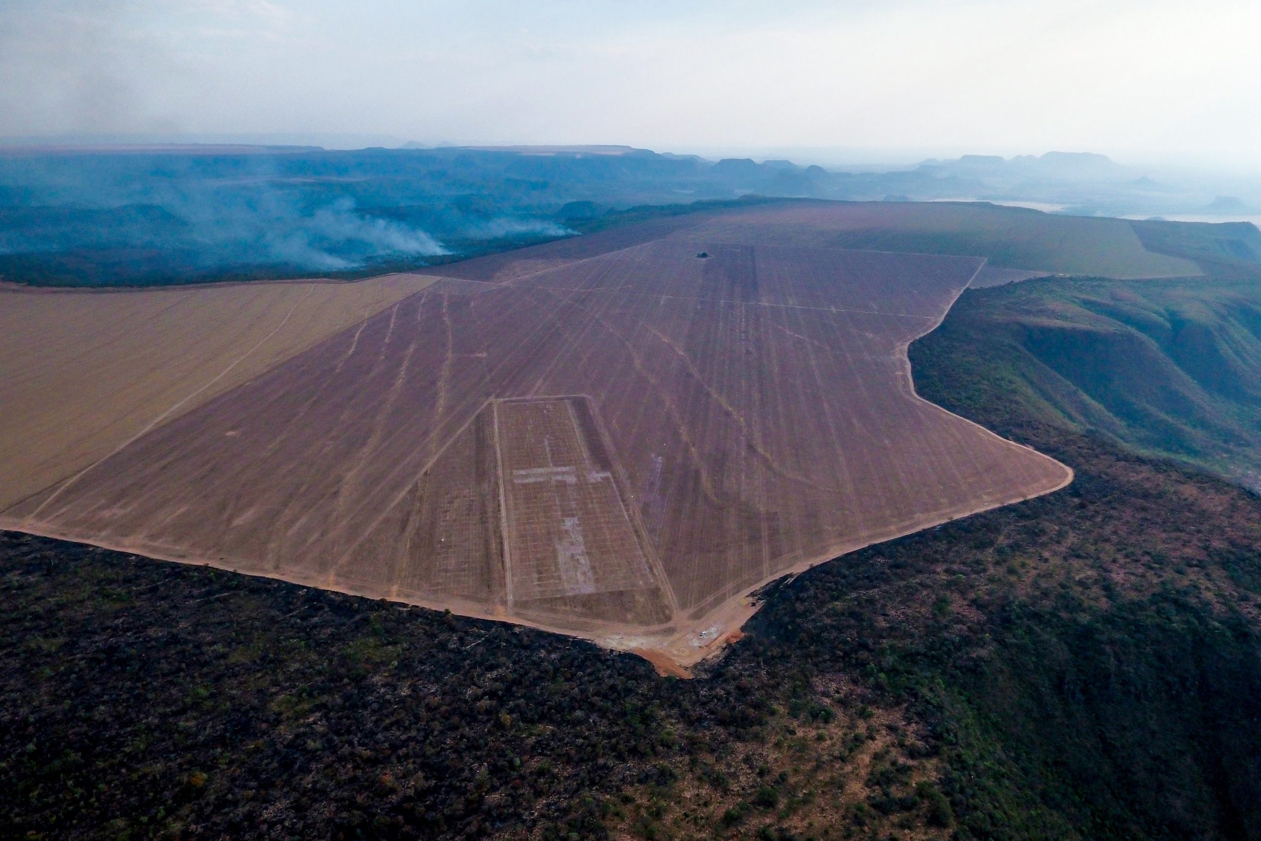 Harvard and TIAA’s farmland grab in Brazil goes up in smoke