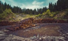 In Crisis, Learning from Ecologies of Care
