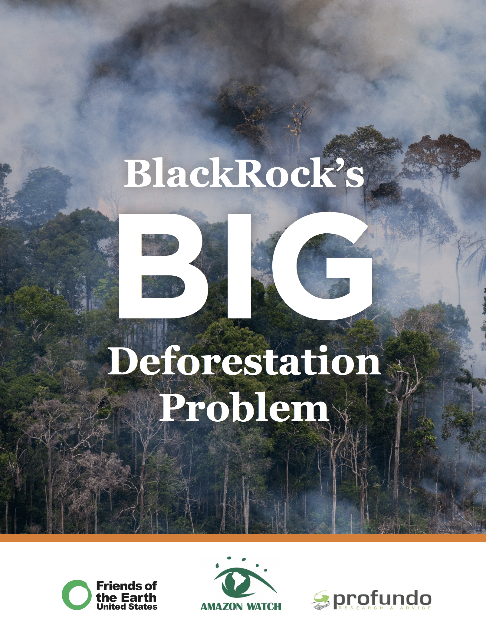 BlackRock’s Big Deforestation Problem
