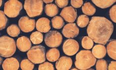 BlackRock’s silence on forest destruction