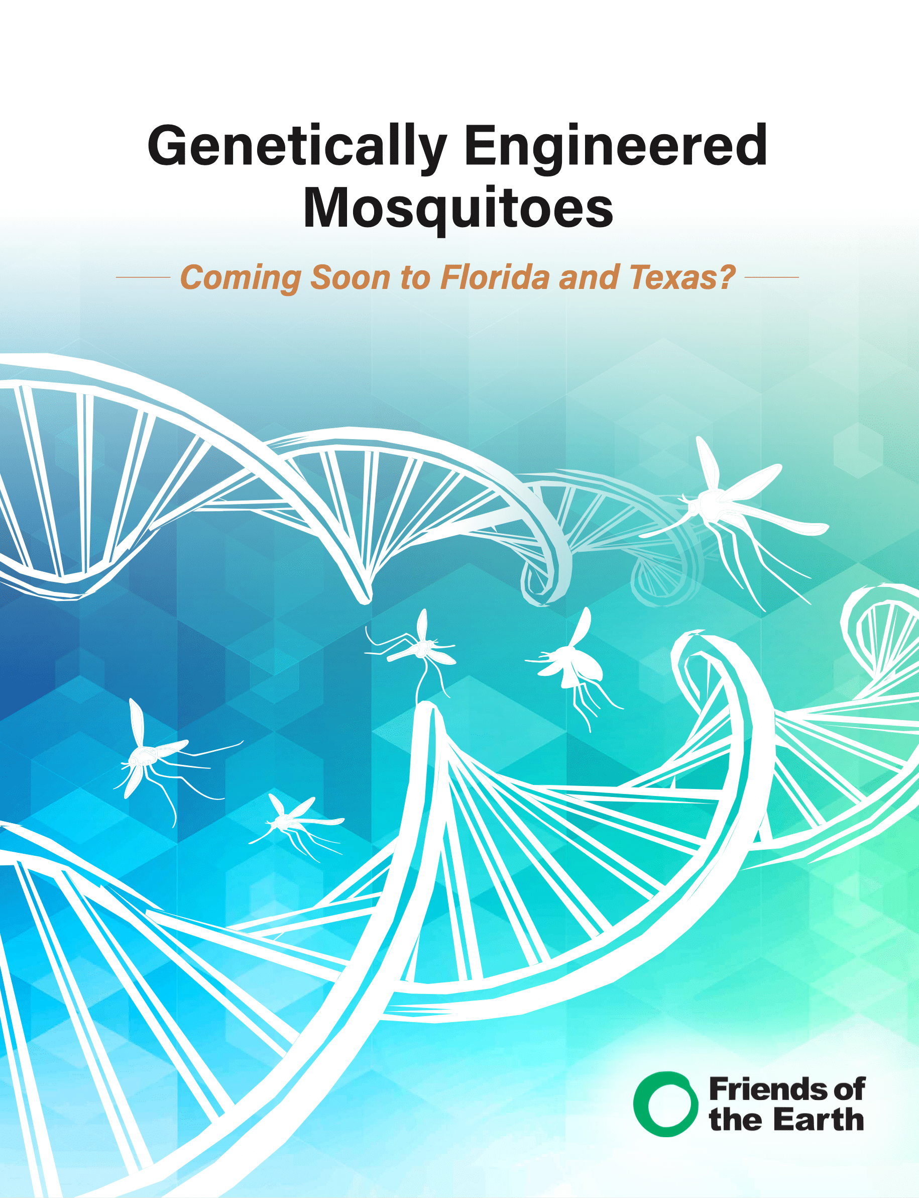 Genetically Engineered Mosquitoes: Coming soon to Florida and Texas?