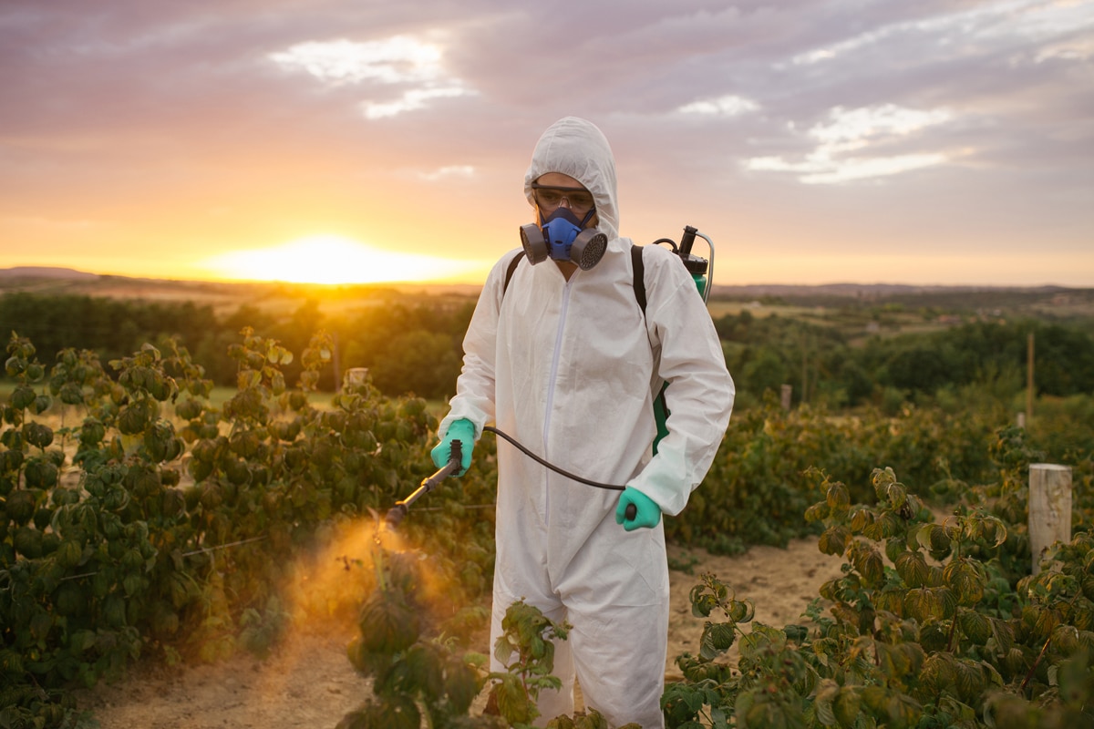 Can eating organic lower your exposure to pesticides?