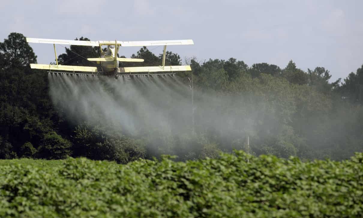 What the pesticides in our urine tell us about organic food
